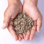 Hands holding a small pile of Saze Leaves against a white background