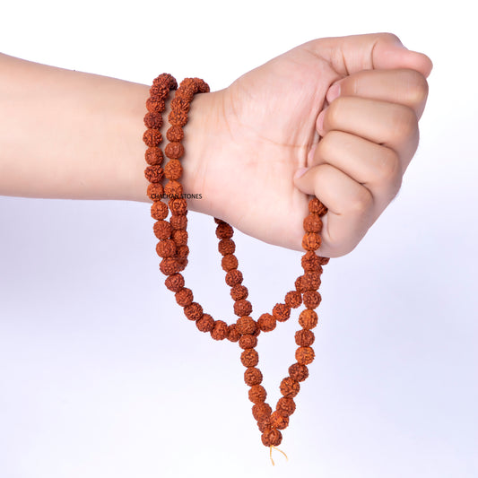 Hand holding a string of brown beads against a white background
