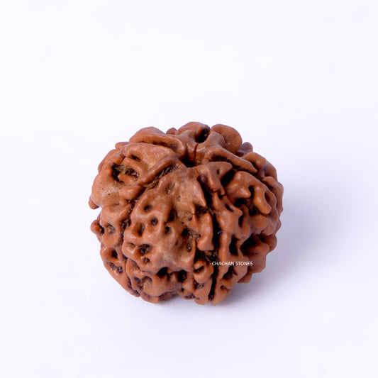 Brown textured object on a white background
