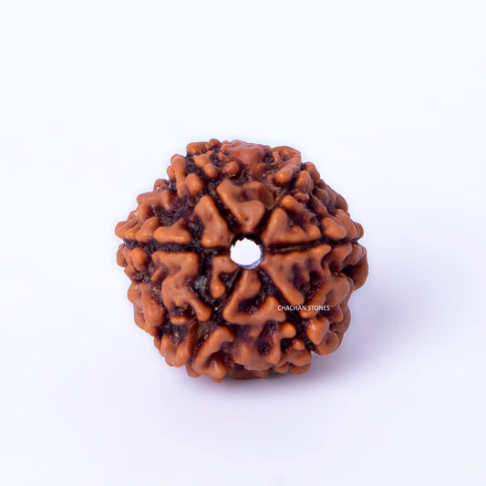 Brown textured spherical object on a white background
