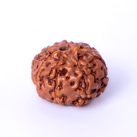Brown textured object on a white background