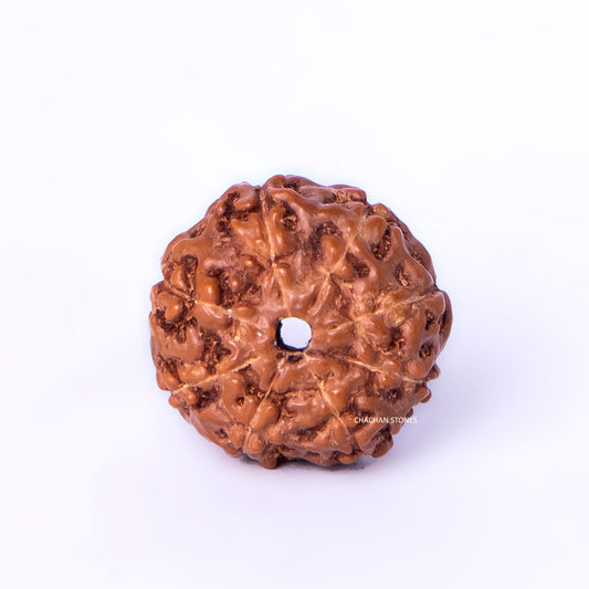 Brown textured object on a white background