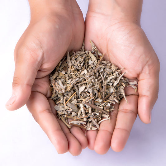 Hands holding a small pile of Saze Leaves against a white background